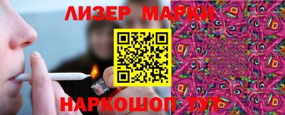 стафф Донской