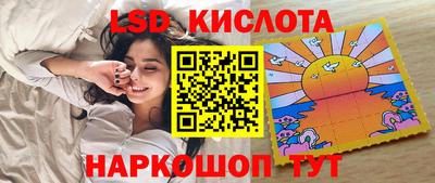 стафф Донской