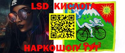 стафф Донской