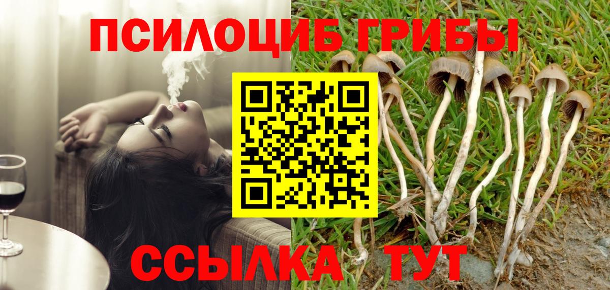 Михайловск  Галлюциногенные грибы Psilocybe  Вход с VPN 